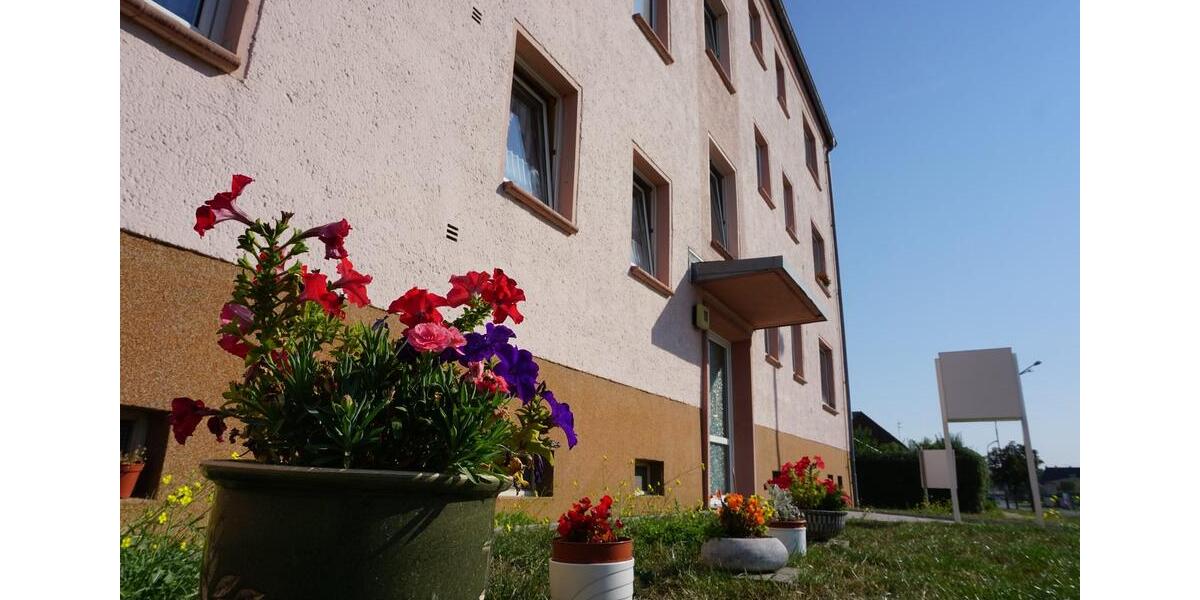 Schöne 1-Raum-Wohnung in Egeln 1 zimmer