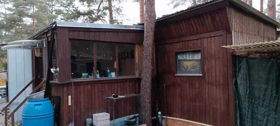 Einfamilienhaus Magdeburg Brückfeld - 9.999&euro; | Angebot:23423869