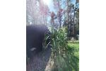 Bungalow Wolmirstedt - 3 Zimmer, 50 m&sup2;, 89.500&euro; | Angebot:27621966