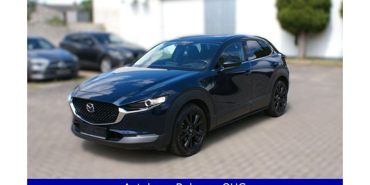 Mazda CX-30 69.730 km 21.990 &euro; Magdeburg 39116