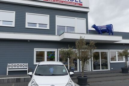 Kia Rio 90.000 km 8.800 &euro; Magdeburg 39108