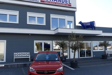 Opel Corsa 87.000 km 12.000 &euro; Magdeburg 39108