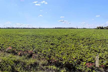 Grundstück Rottmersleben Rottmersleben - 129.125&euro; | Angebot:22400527