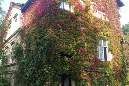 Klassische Villa (Denkmal) für Idealisten, Enthusiasten zimmer