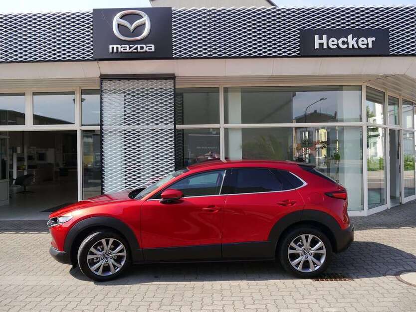 CX-30