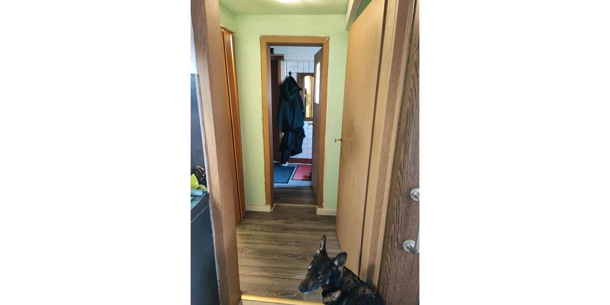 Doppelhaushälfte Magdeburg Großer Silberberg - 4 Zimmer, 116 m&sup2;, 280.000&euro; | Angebot:25417674