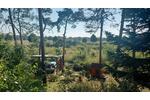 Bungalow Schönebeck (Elbe) Pretzien - 3 Zimmer, 35 m&sup2;, 35.000&euro; | Angebot:26356192