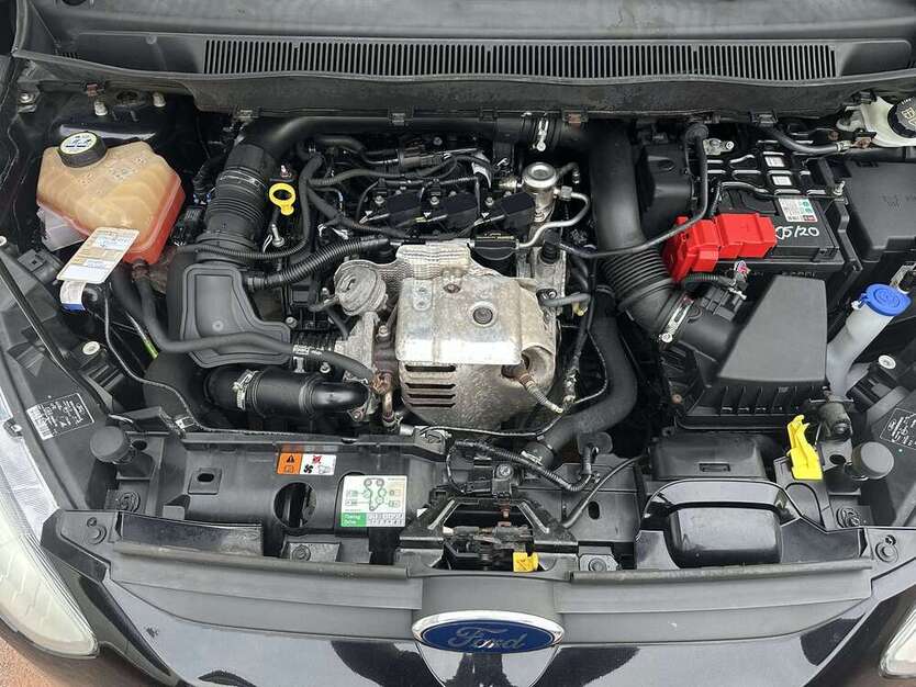B-Max