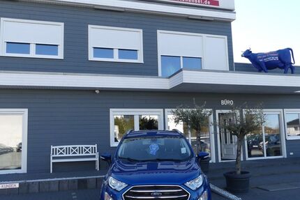 Ford EcoSport 55.000 km 12.900 &euro; Magdeburg 39108