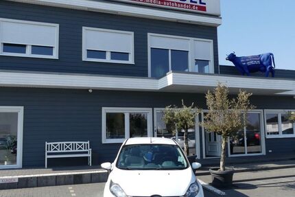 Ford Fiesta 134.000 km 5.000 &euro; Magdeburg 39108