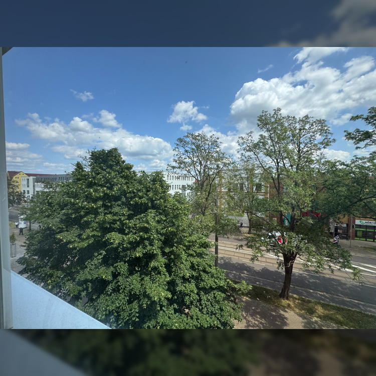 Wohnung zum Mieten in Magdeburg 330 € 49.47 m² 2 zimmer