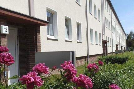 Wohnung Magdeburg Stadtfeld West - 2 Zimmer, 62 m&sup2;, 470&euro; | Angebot:25306398