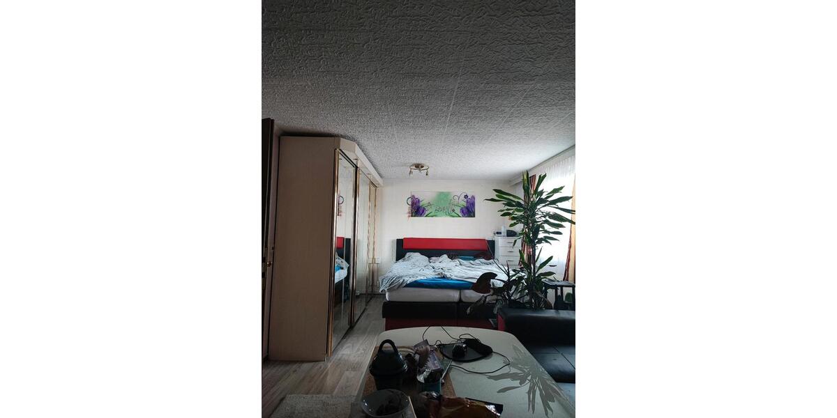 Doppelhaushälfte Magdeburg Großer Silberberg - 4 Zimmer, 116 m&sup2;, 280.000&euro; | Angebot:25417674