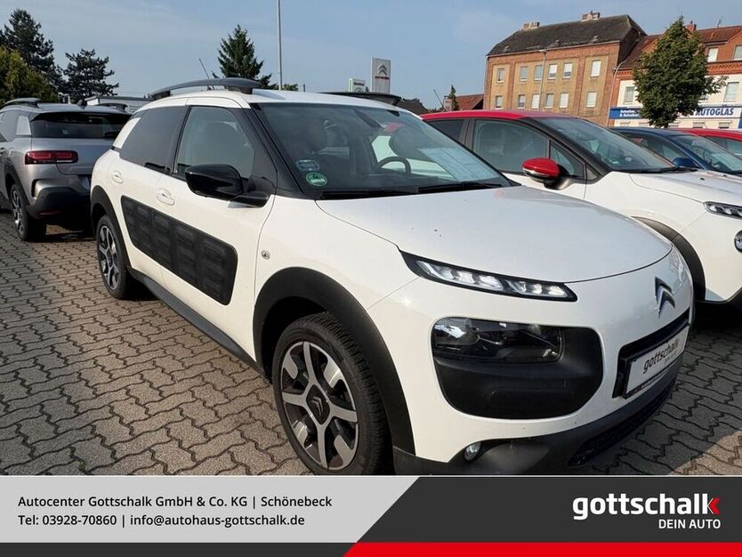 C4 Cactus