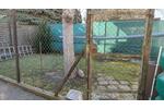Doppelhaushälfte Schönebeck (Elbe) - 4 Zimmer, 110 m&sup2;, 179.000&euro; | Angebot:26462781