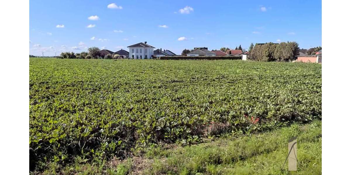 Grundstück zu verkaufen in Rottmersleben 72.500 € 580 m² zimmer