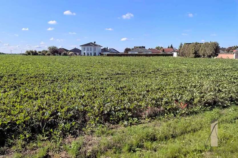 Grundstück zu verkaufen in Rottmersleben 72.500 € 580 m² zimmer