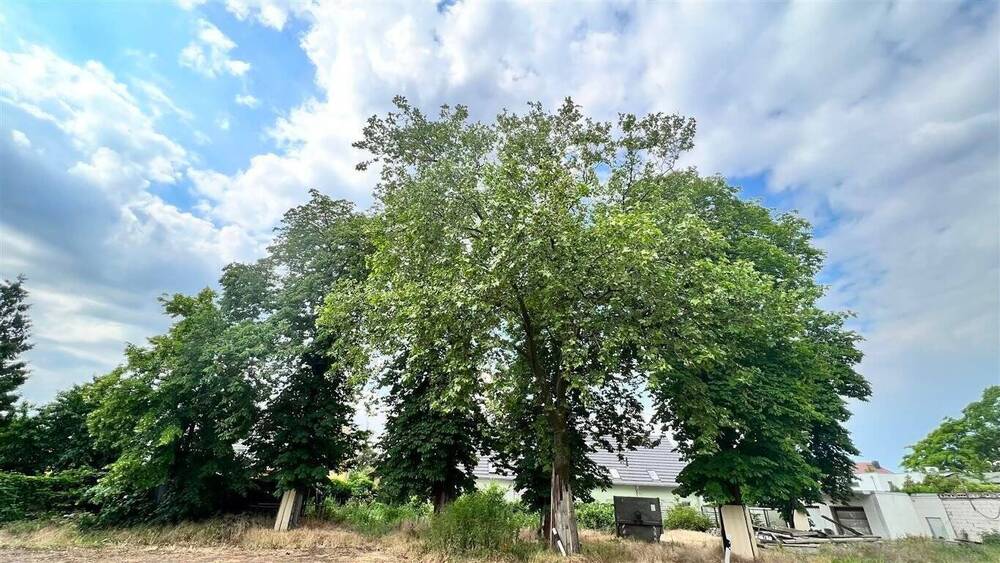 Grundstück Magdeburg Cracau - 550.000&euro; | Angebot:19290035
