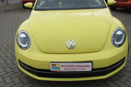 VW Beetle 177.380 km 6.500 € Haldensleben 39340