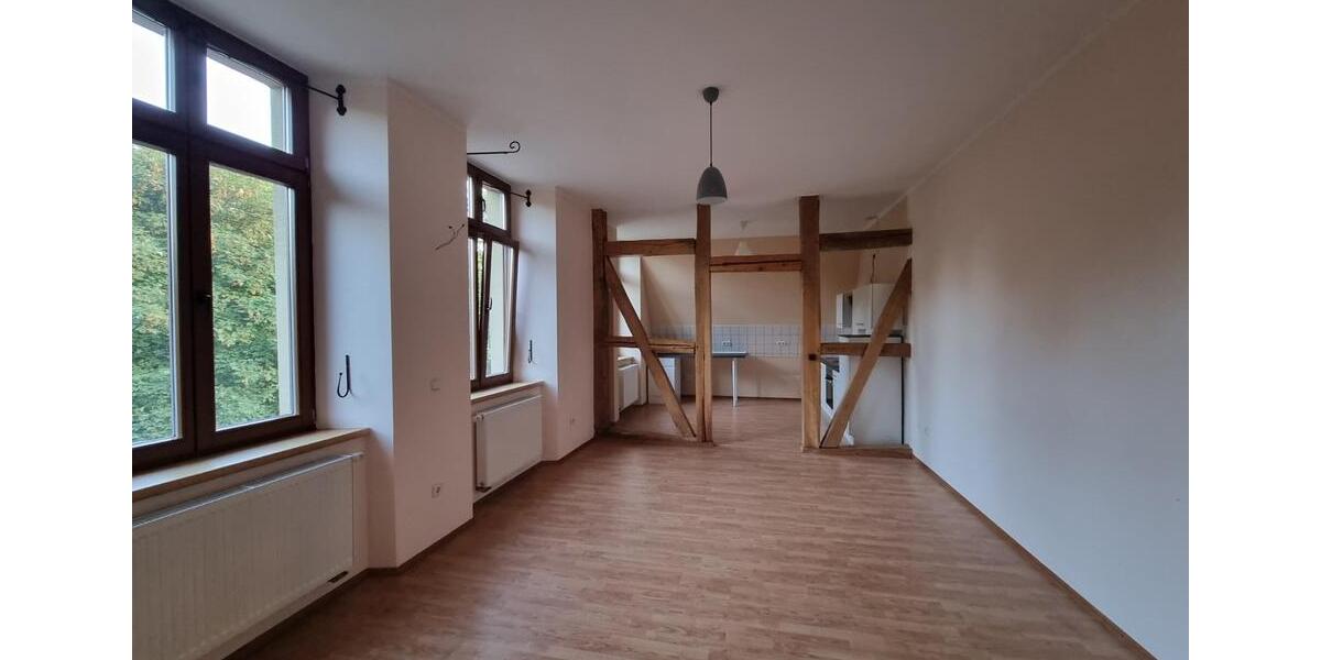 Einfamilienhaus Eilsleben - 13 Zimmer, 524 m&sup2;, 780.000&euro; | Angebot:20982513