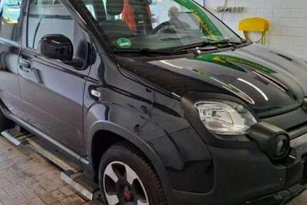 Fiat Panda 36.305 km 12.999 € Zerbst / Anhalt 39261