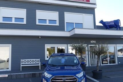 Ford EcoSport 55.000 km 12.900 &euro; Magdeburg 39108
