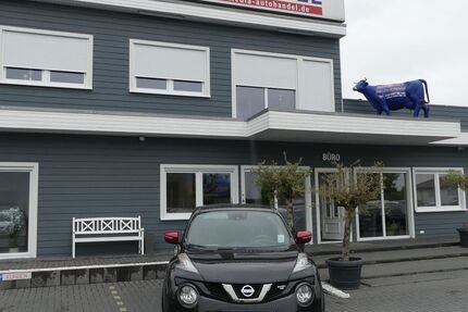 Nissan Juke 66.000 km 17.500 &euro; Magdeburg 39108