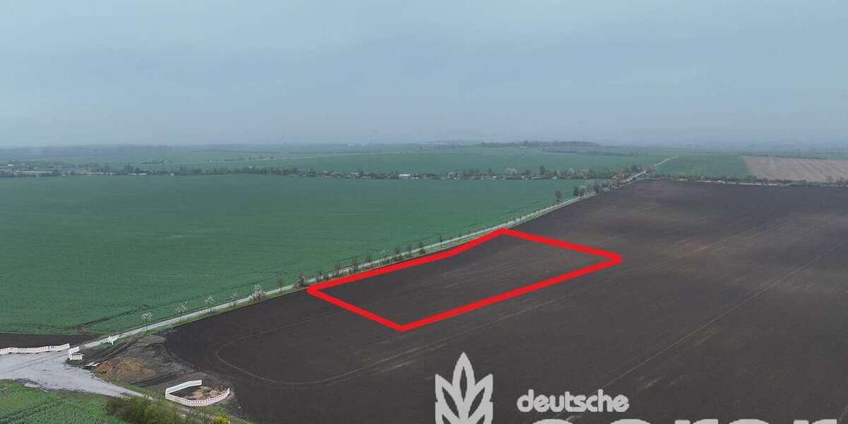 Grundstück Bördeland - 23.900&euro; | Angebot:26384102