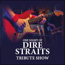 One Night of Dire Straits - Tribute Show 29.01.2027 AMO