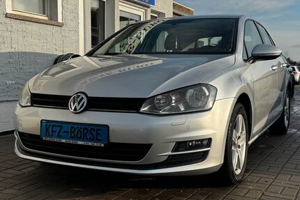 VW Golf 153.800 km 8.700 &euro; Burg 39288
