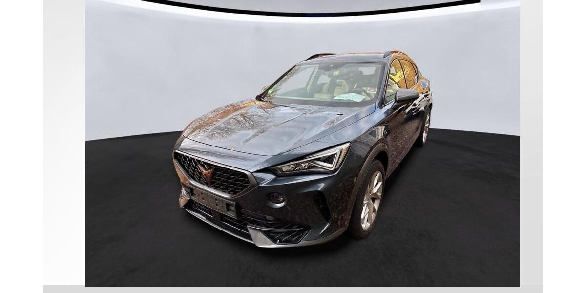 Cupra Formentor 34.654 km 23.940 &euro; Magdeburg 39126