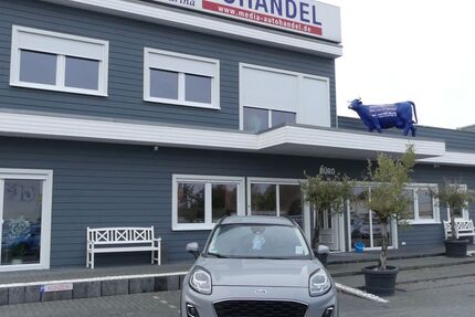 Ford Puma 30.000 km 17.000 € Magdeburg 39108