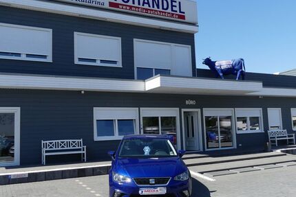 Seat Ibiza 91.000 km 10.000 &euro; Magdeburg 39108
