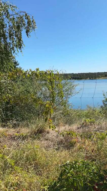 Grundstück zu verkaufen in Burg 249.000 € 1312 m² zimmer