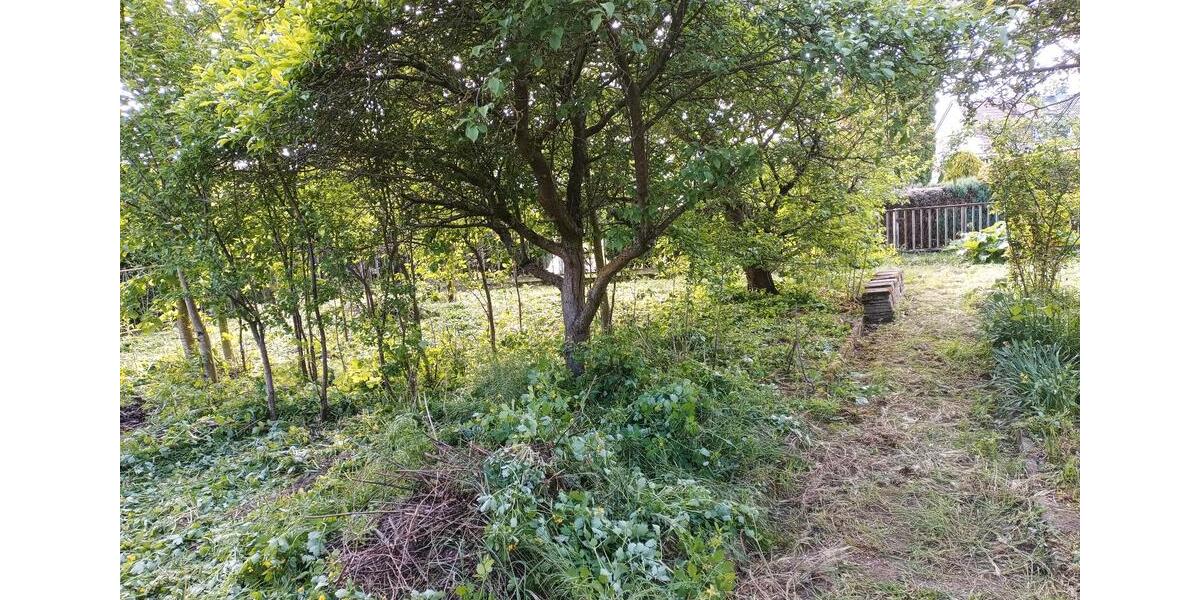 Doppelhaushälfte Magdeburg Beyendorf-Sohlen - 149.900&euro; | Angebot:23474158