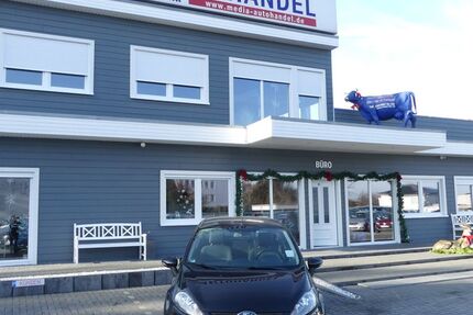 Ford Fiesta 134.000 km 4.500 &euro; Magdeburg 39108