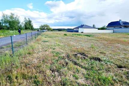 Grundstück zu verkaufen in Niegripp 242.720 € 1312 m² zimmer