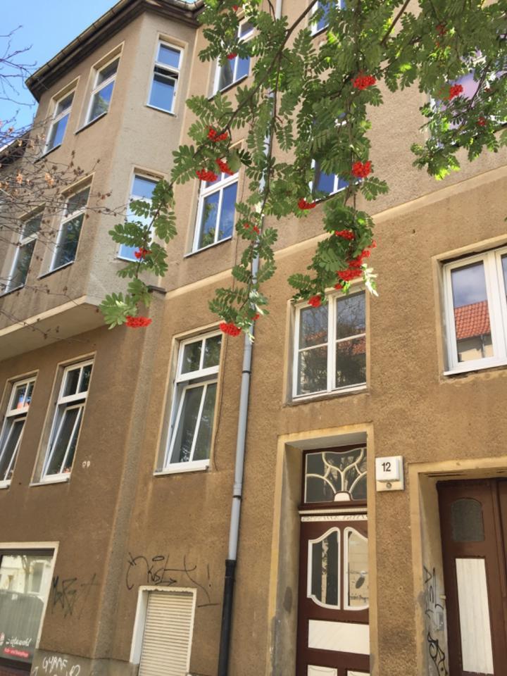 2 Zi.-Whg. 42 qm in 39106 Magdeburg zimmer