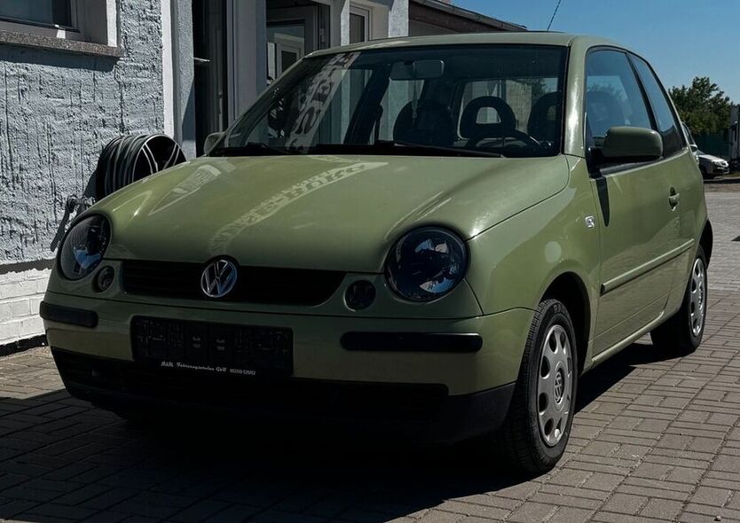 Lupo