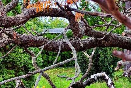 Grundstück Magdeburg Brückfeld - 159.000&euro; | Angebot:17898303