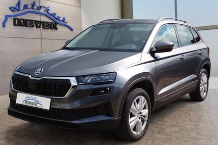 Skoda Karoq 28.800 km 31.899 &euro; Hohenwarsleben bei Magdeburg 39326