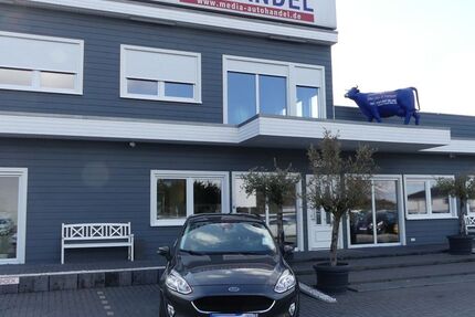 Ford Fiesta 70.000 km 11.500 &euro; Magdeburg 39108