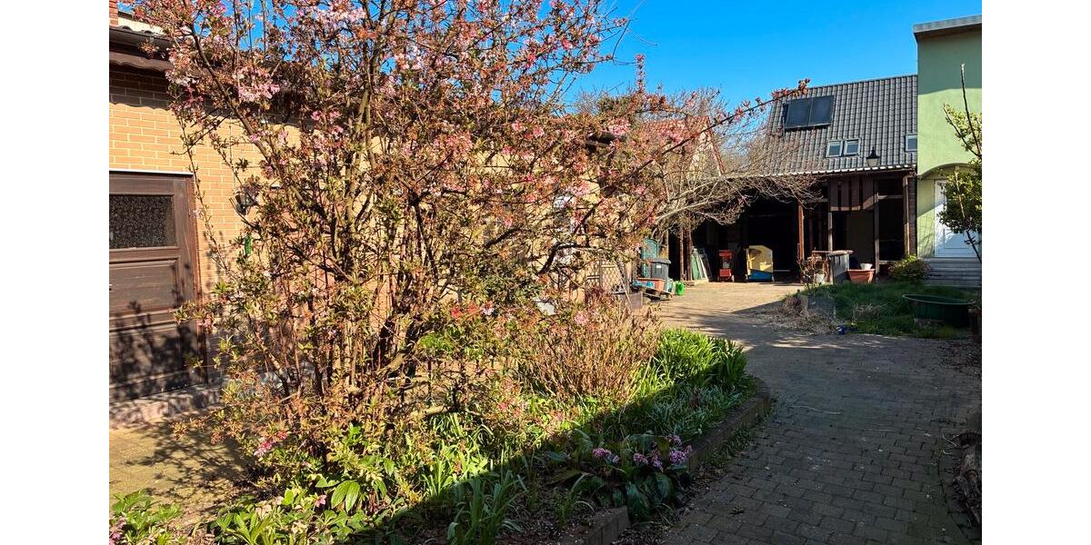 Einfamilienhaus Möckern - 219.000&euro; | Angebot:26199115